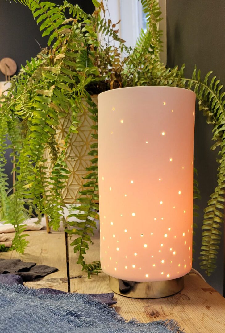 Cozy lamp beside green fern