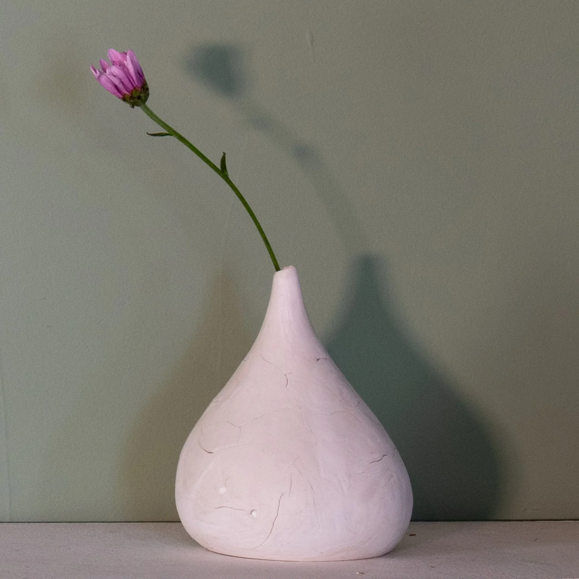 Minimalist vase with single flower