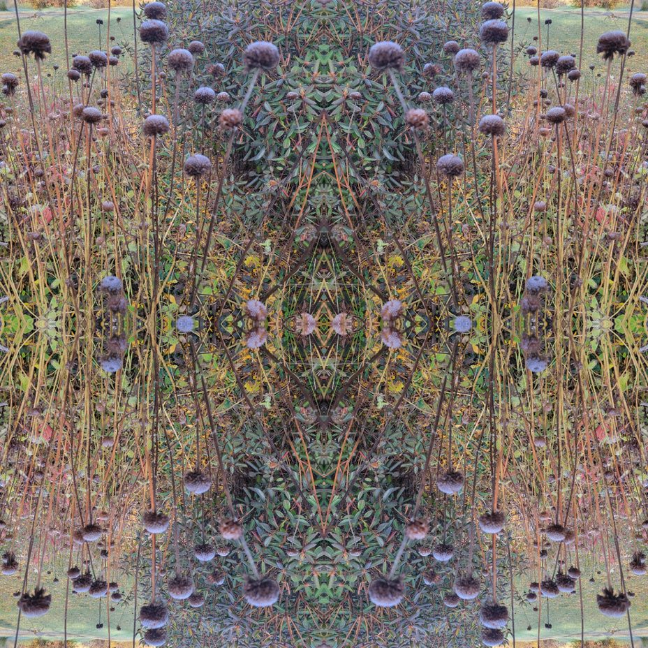 Nature-inspired symmetrical design