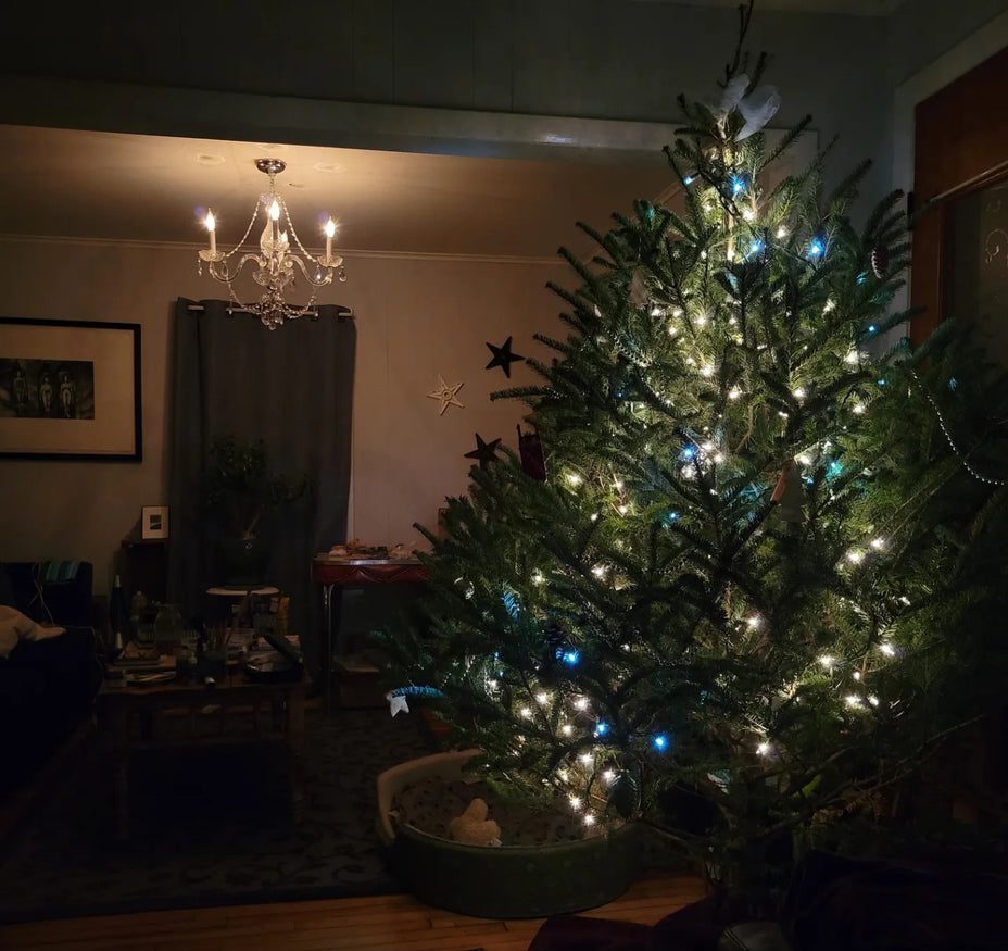 Festive living room with decorated tree
