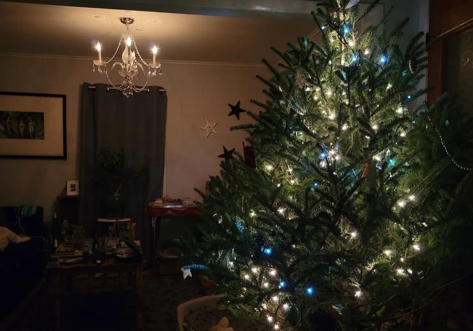 Festive living room with decorated tree